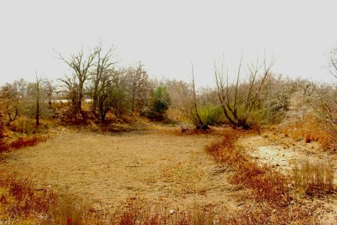 0000 Robertson Road Smiley TX 78159