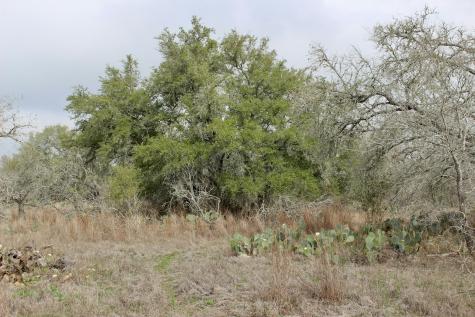 0000 Robertson Road Smiley TX 78159