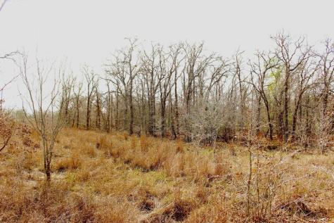 0000 Robertson Road Smiley TX 78159
