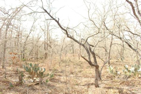 0000 Robertson Road Smiley TX 78159