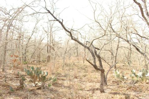 0000 Robertson Road Smiley TX 78159