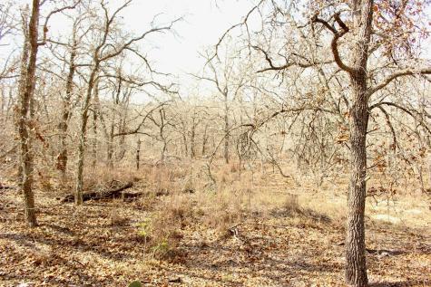 0000 Robertson Road Smiley TX 78159