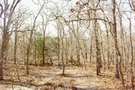 0000 Robertson Road Smiley TX 78159