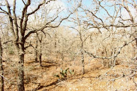 0000 Robertson Road Smiley TX 78159