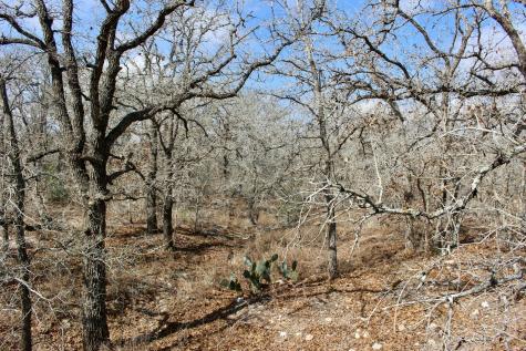 0000 Robertson Road Smiley TX 78159