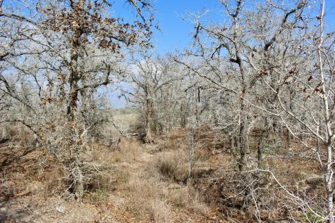 0000 Robertson Road Smiley TX 78159