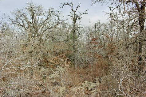 0000 Robertson Road Smiley TX 78159