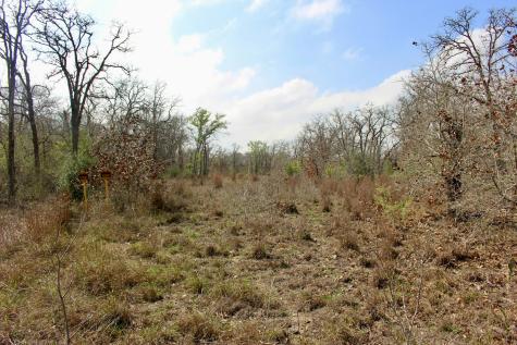0000 Robertson Road Smiley TX 78159