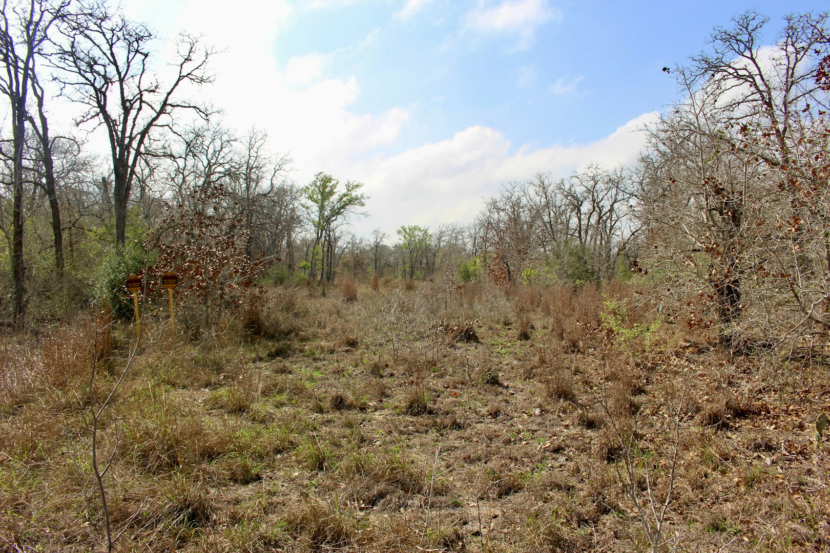 0000 Robertson Road Smiley TX 78159