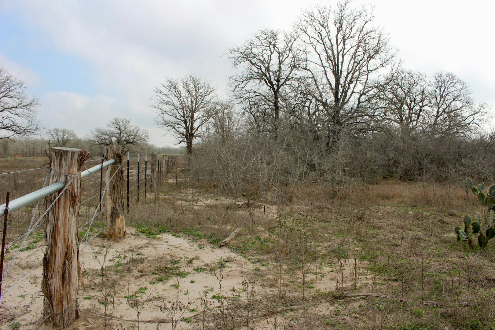 0000 Robertson Road Smiley TX 78159