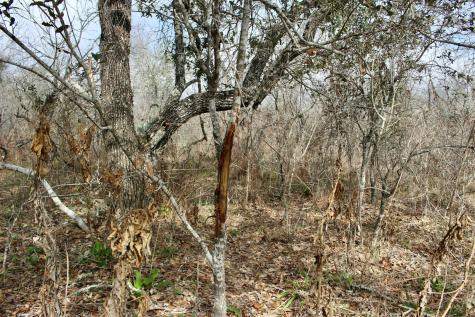 0000 Robertson Road Smiley TX 78159