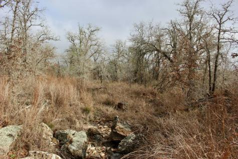 0000 Robertson Road Smiley TX 78159