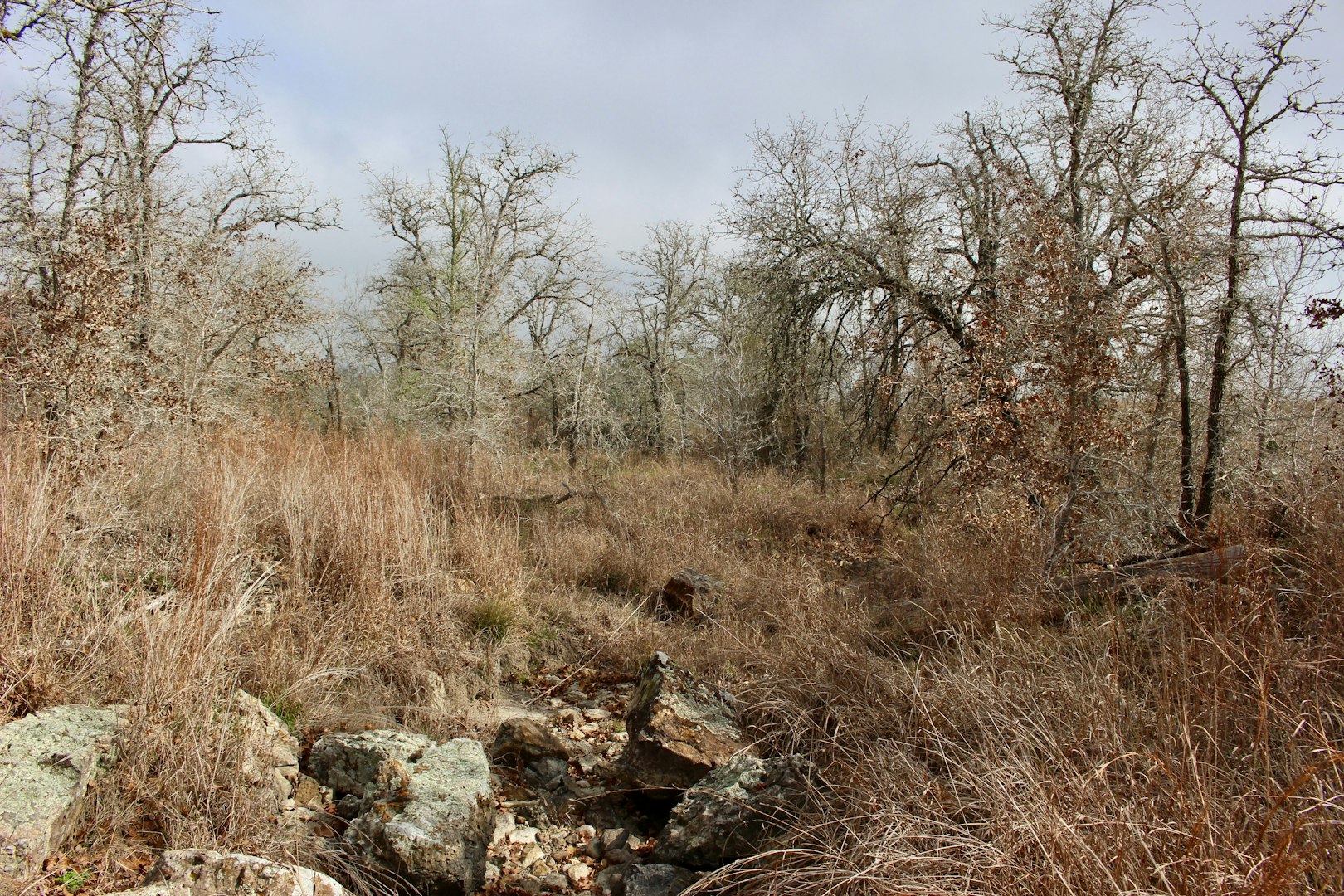 0000 Robertson Road Smiley TX 78159
