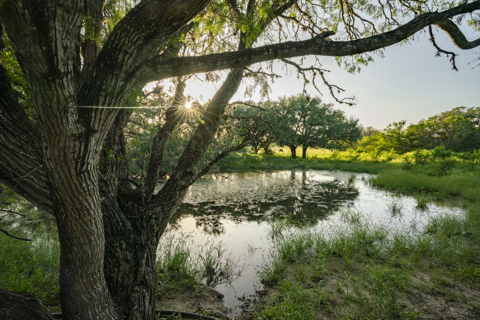 10255 County Road 113 Pettus TX 78146