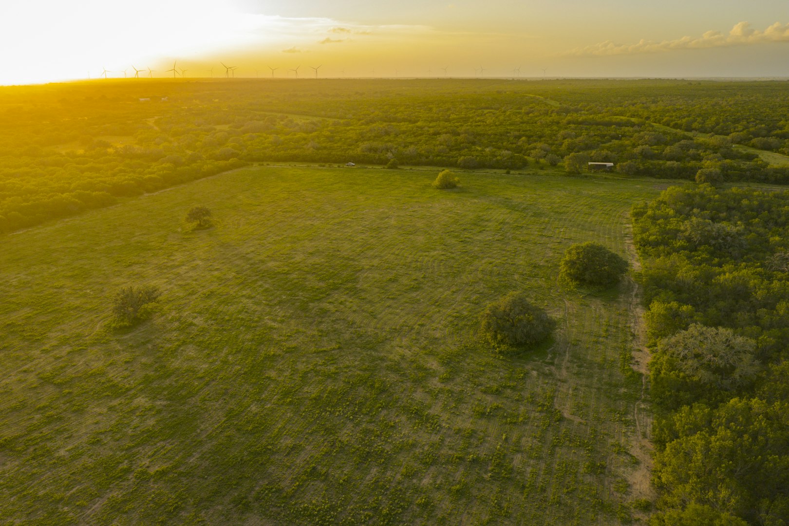 10255 County Road 113 Pettus TX 78146