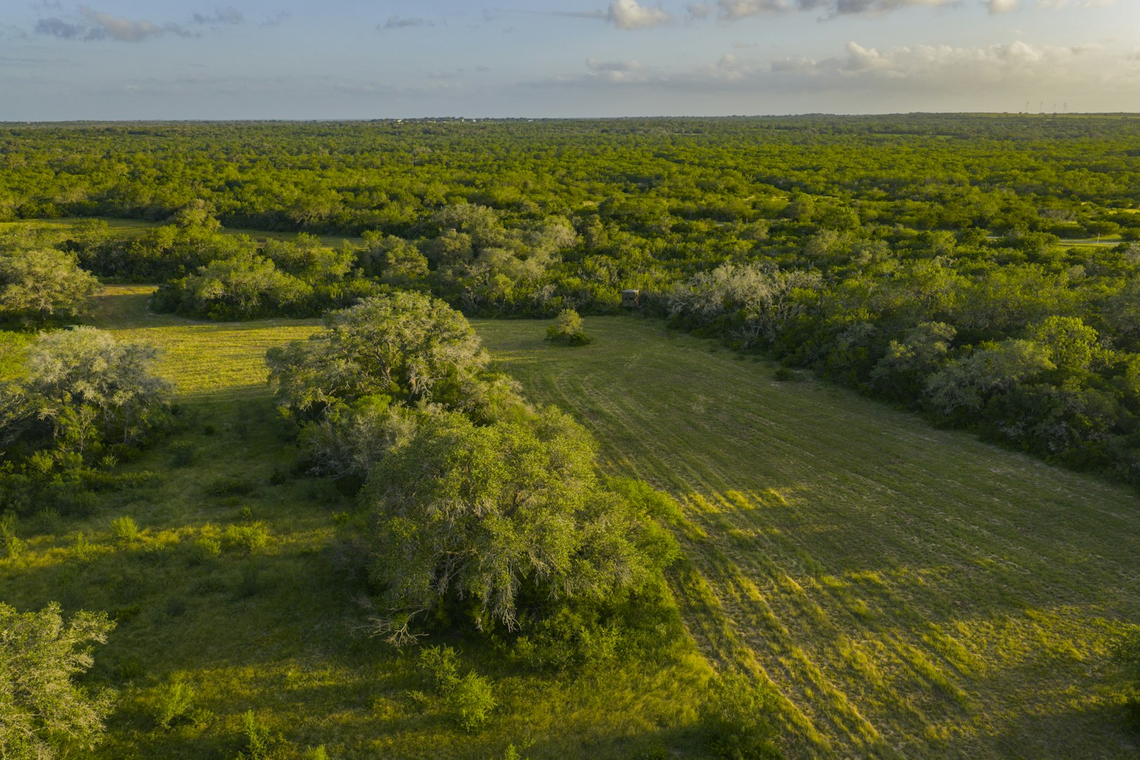 10255 County Road 113 Pettus TX 78146