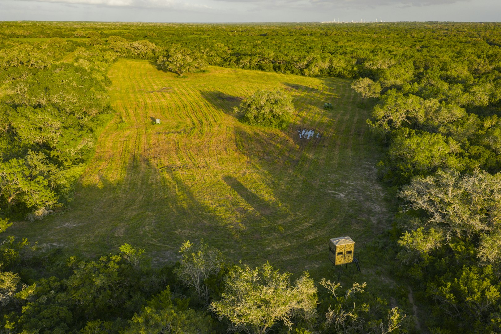 10255 County Road 113 Pettus TX 78146