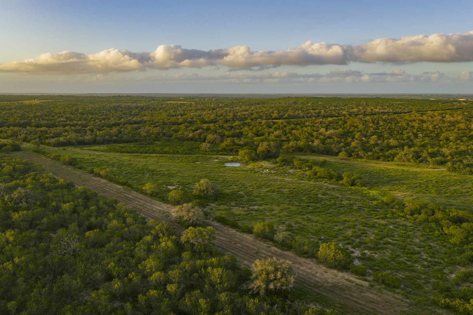 10255 County Road 113 Pettus TX 78146