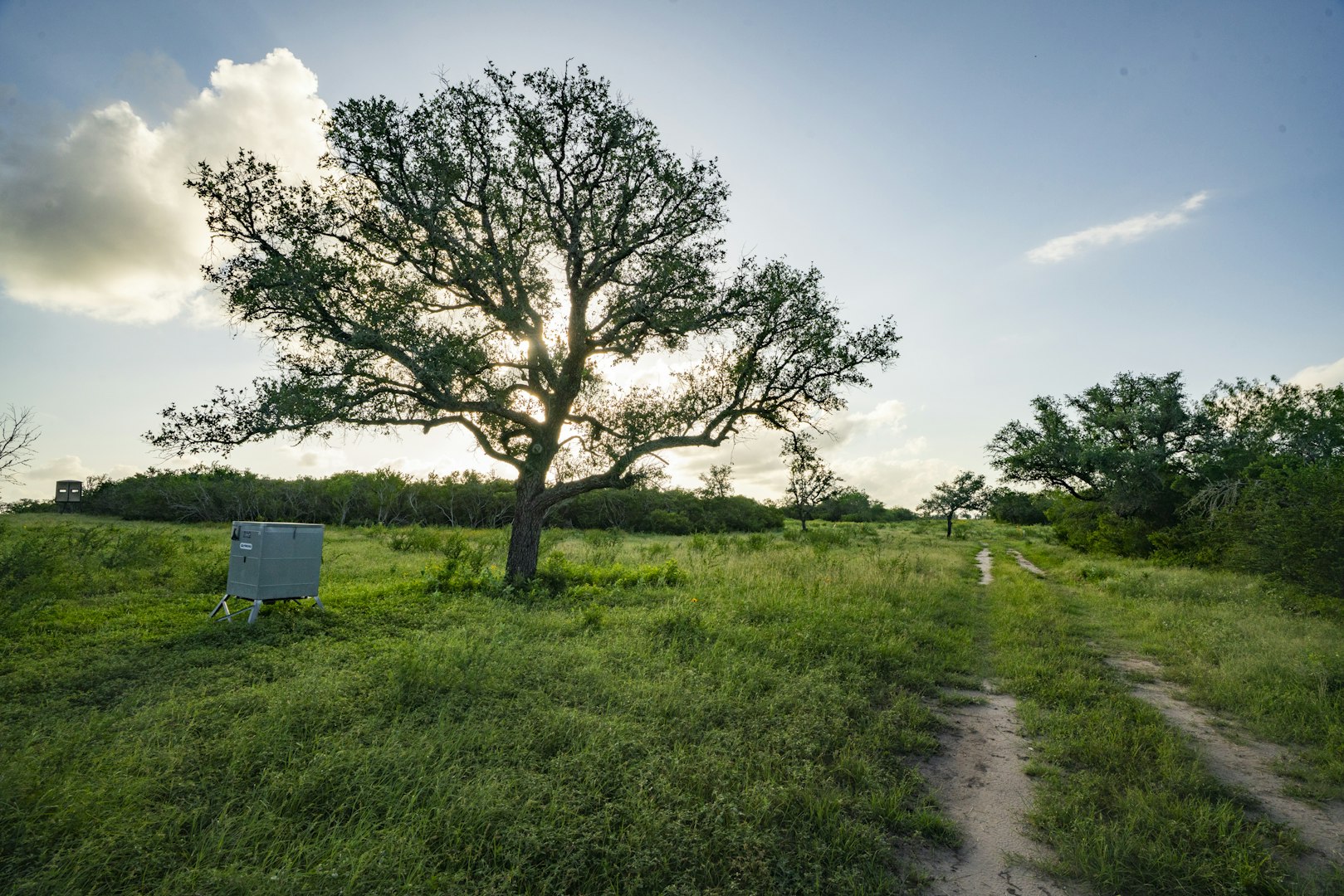 10255 County Road 113 Pettus TX 78146