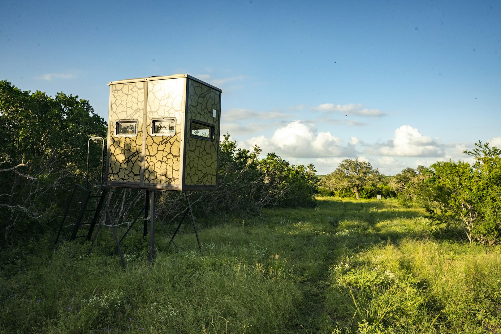 10255 County Road 113 Pettus TX 78146