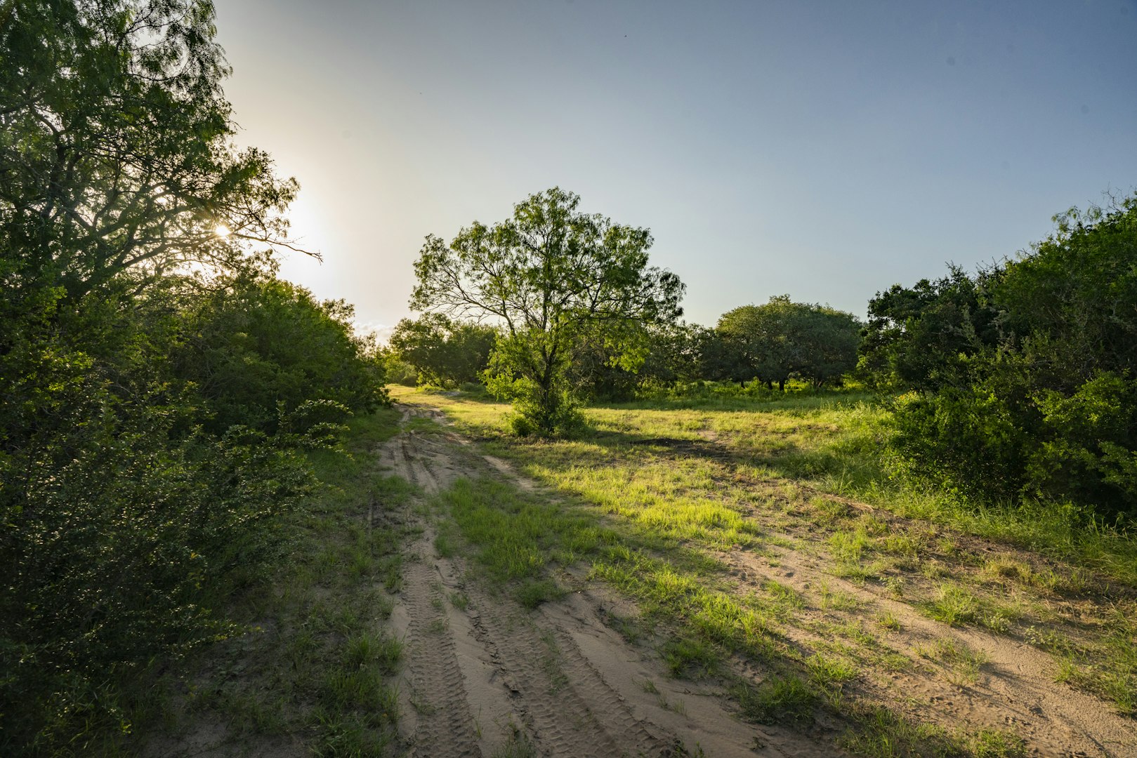 10255 County Road 113 Pettus TX 78146
