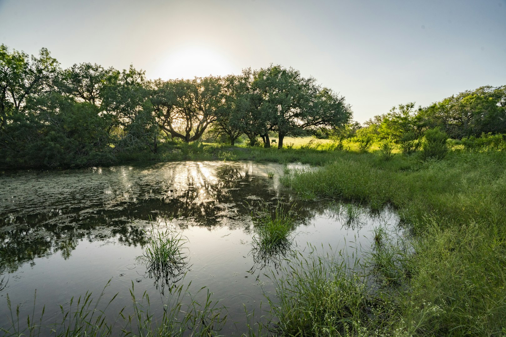 10255 County Road 113 Pettus TX 78146