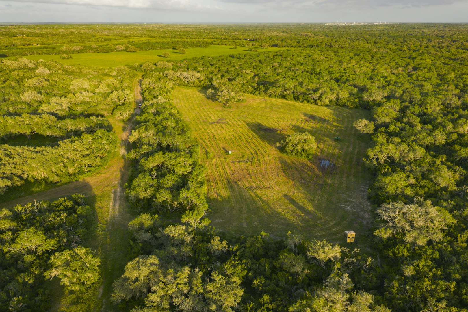 10255 County Road 113 Pettus TX 78146