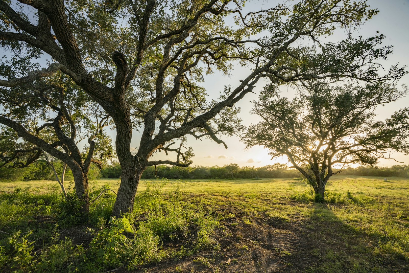 10255 County Road 113 Pettus TX 78146