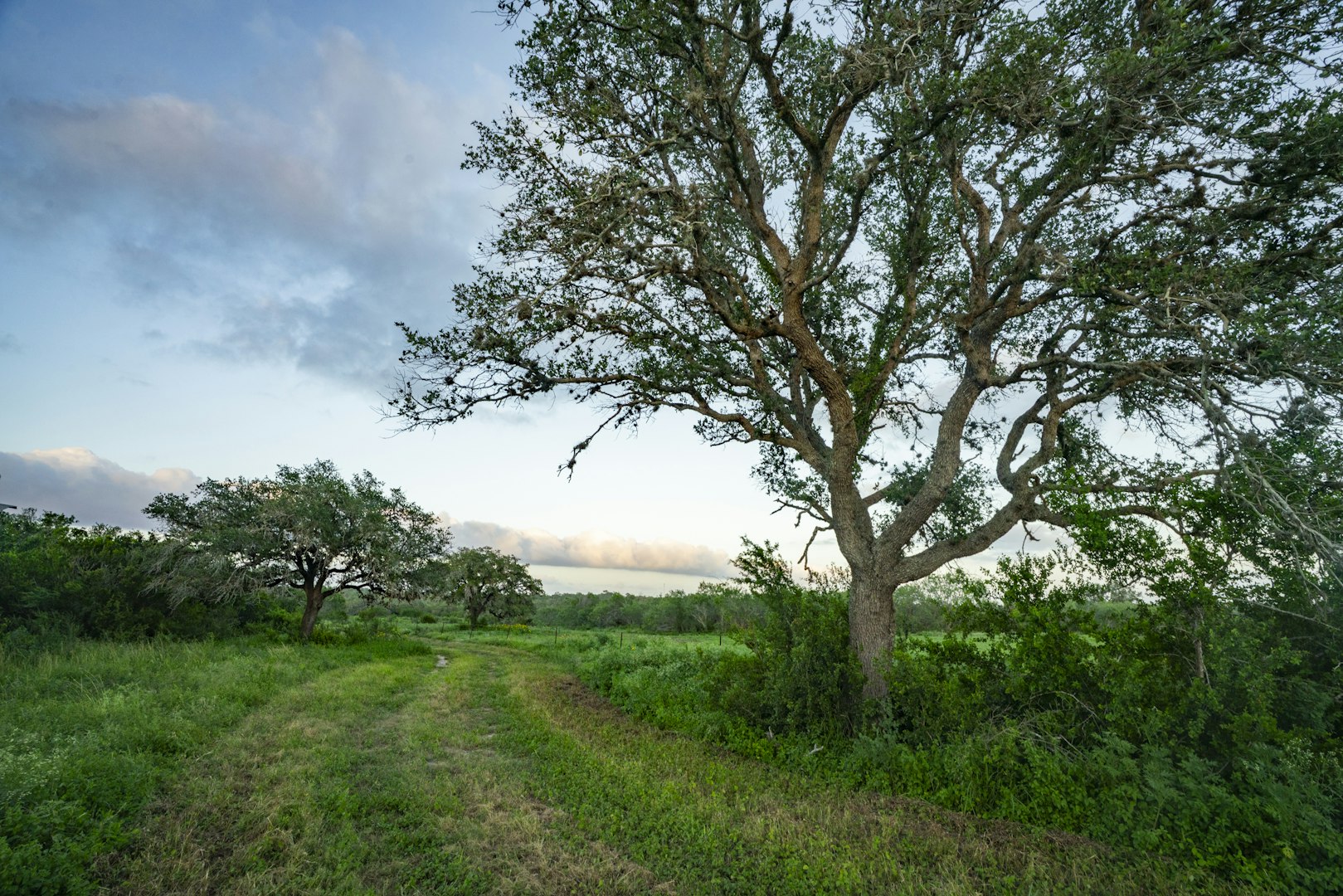 10255 County Road 113 Pettus TX 78146