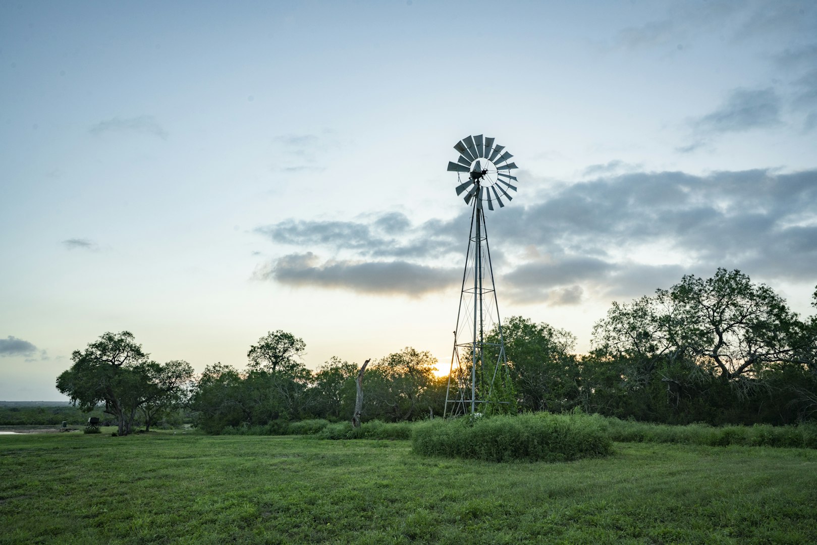 10255 County Road 113 Pettus TX 78146