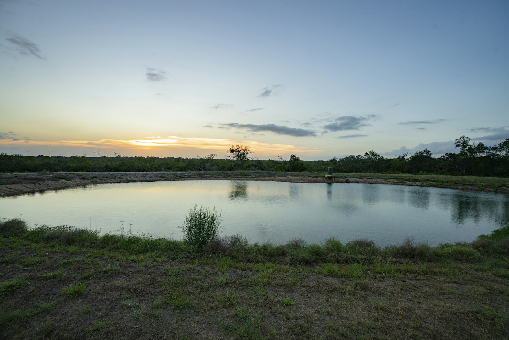 10255 County Road 113 Pettus TX 78146