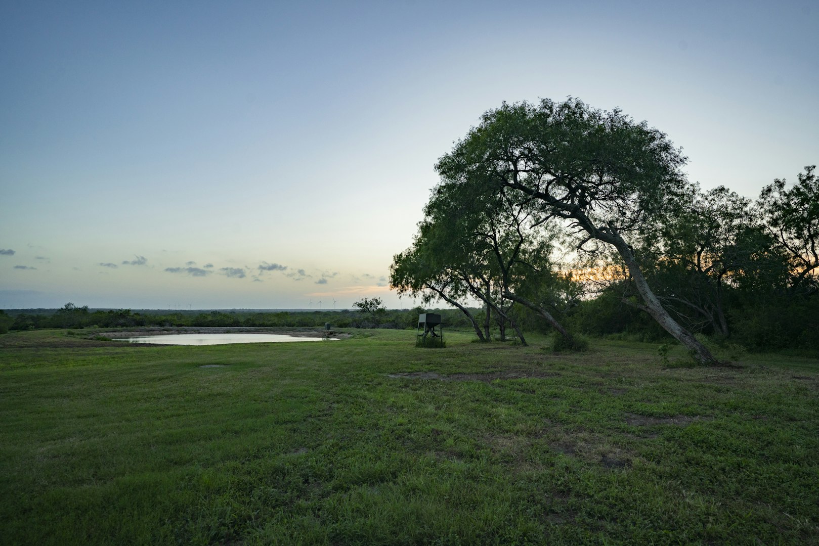 10255 County Road 113 Pettus TX 78146