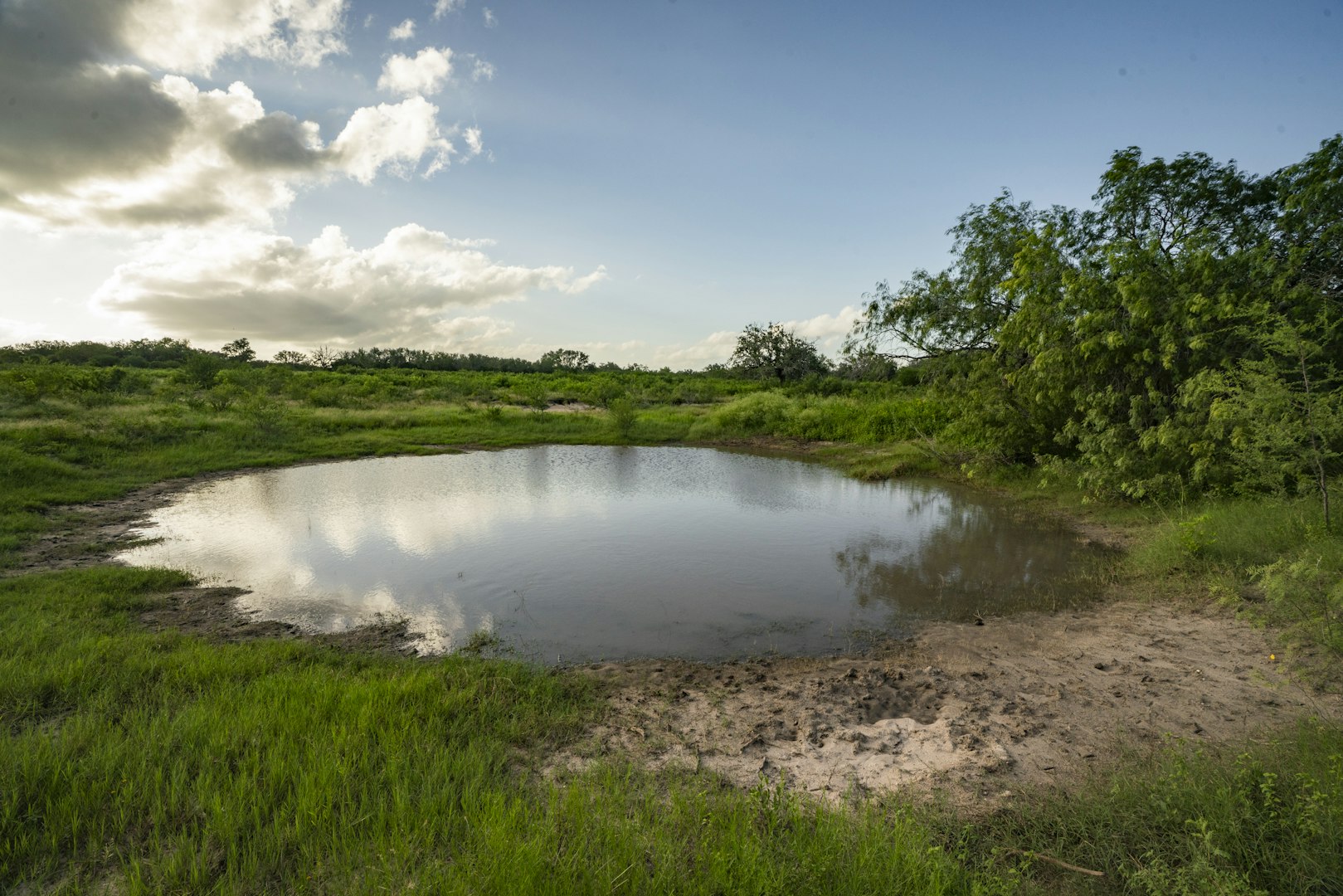 10255 County Road 113 Pettus TX 78146