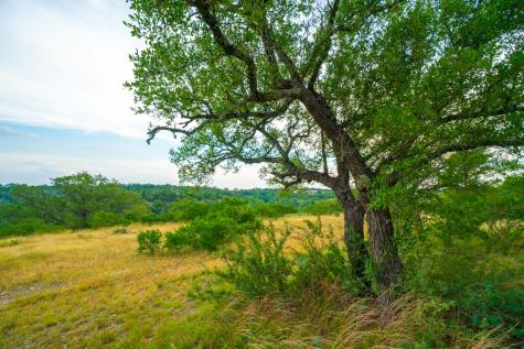 225 Valley View Road Comfort TX 78013
