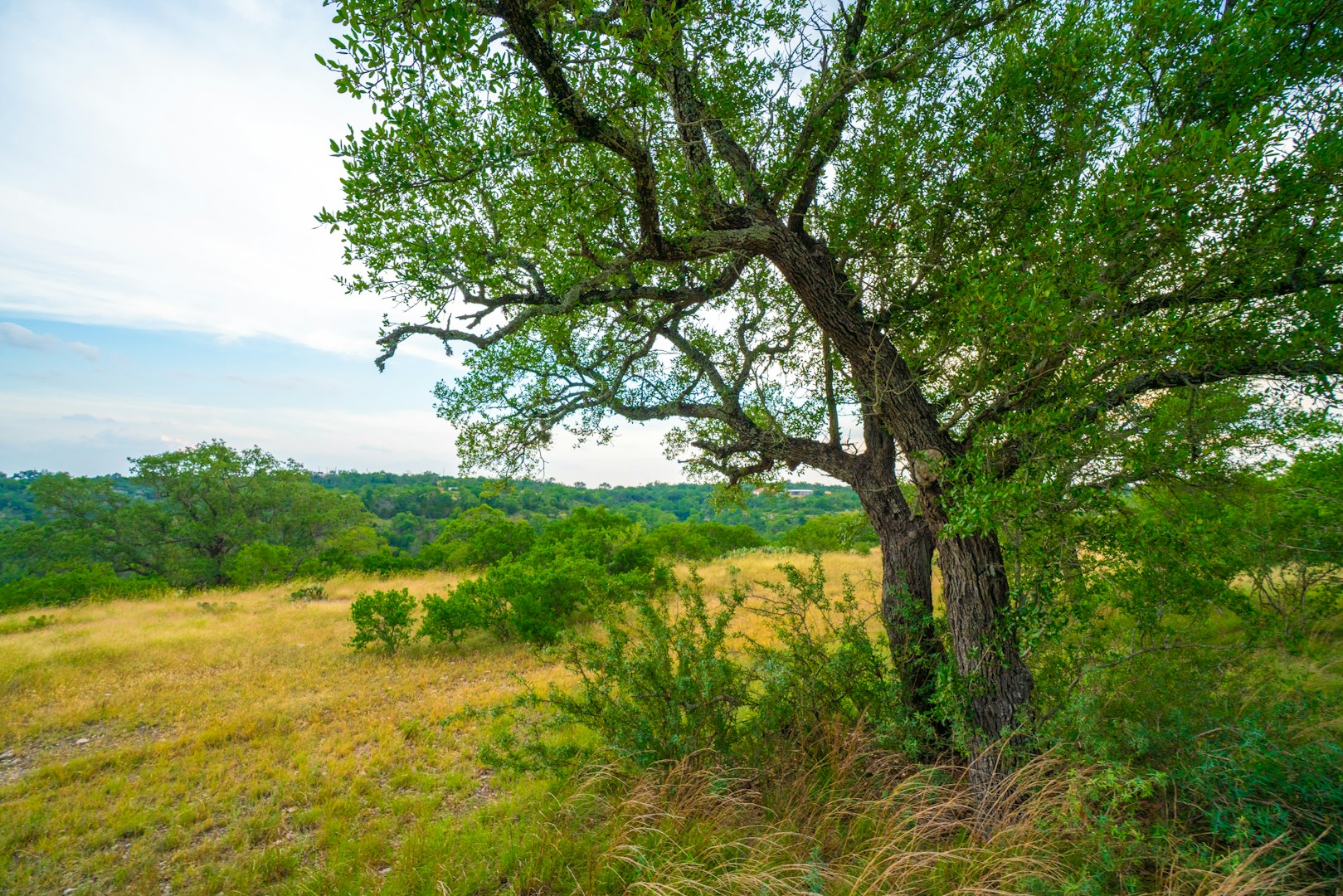 225 Valley View Road Comfort TX 78013