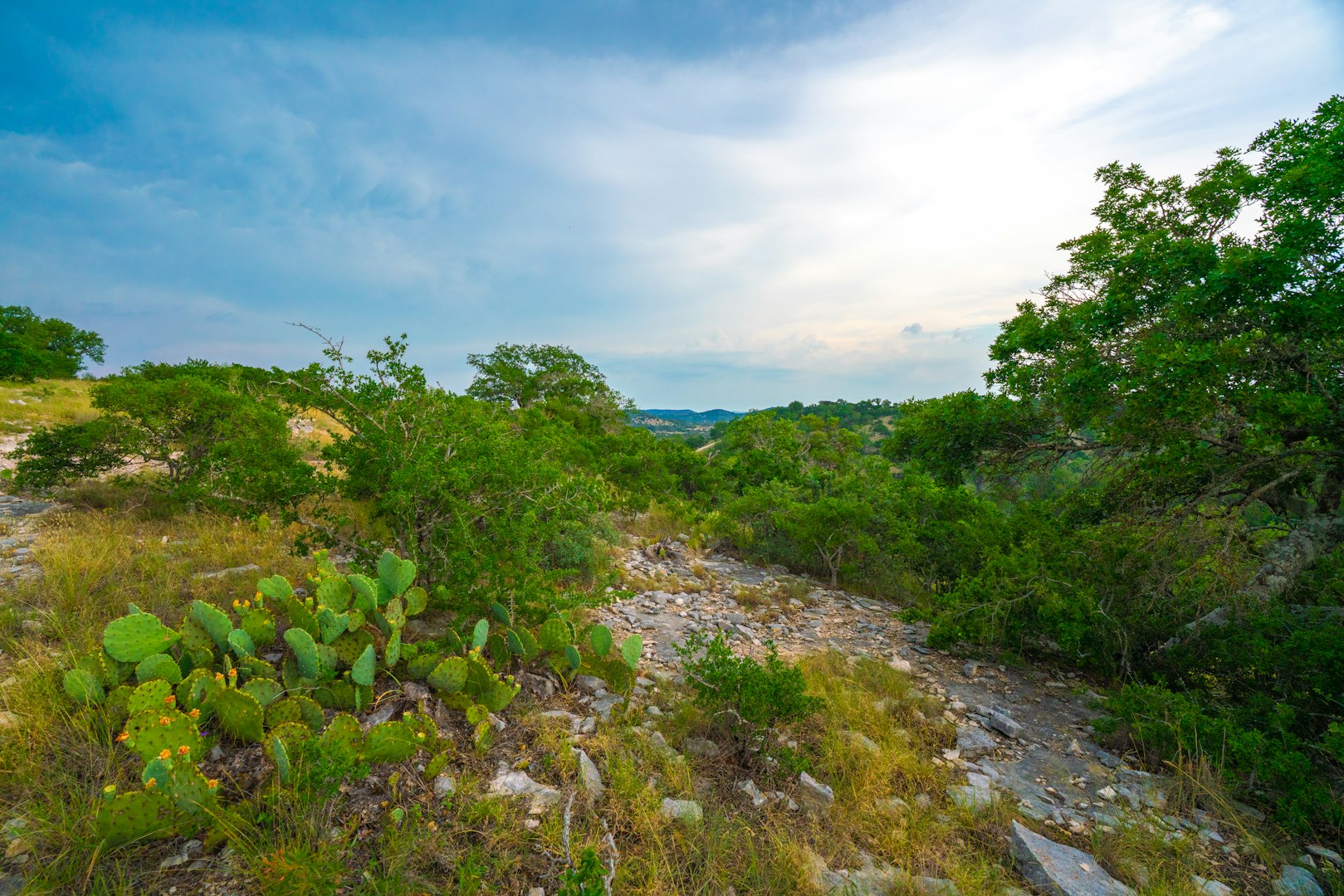 225 Valley View Road Comfort TX 78013