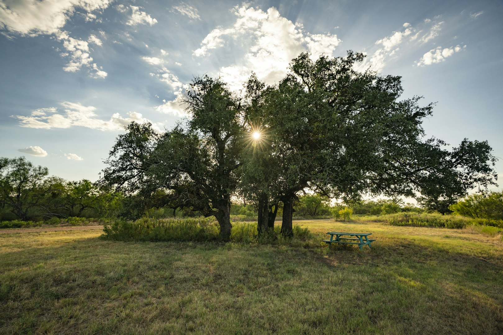 7487 North Us Highway 87 Mason TX 76856