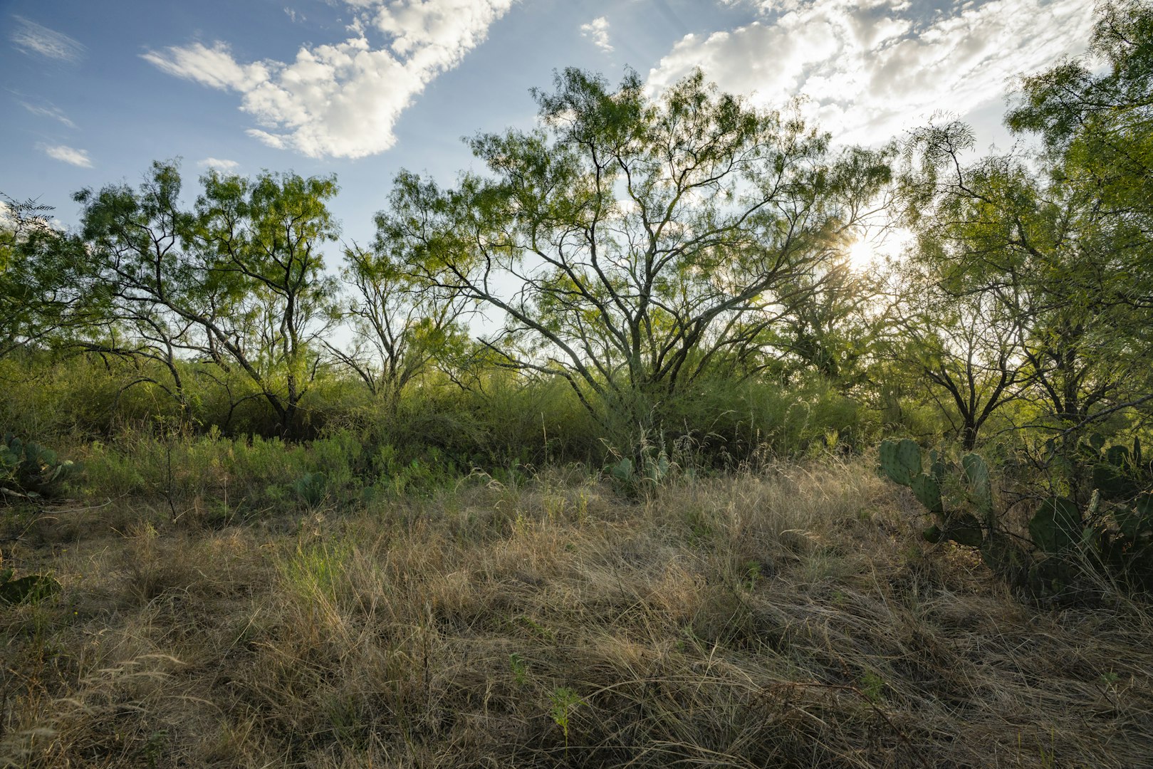 7487 North Us Highway 87 Mason TX 76856