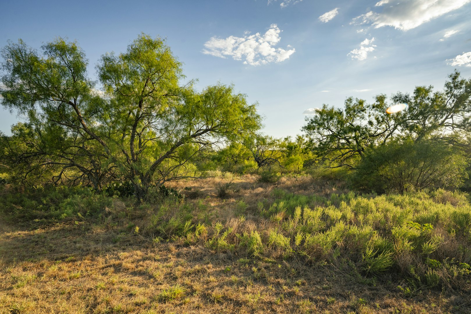 7487 North Us Highway 87 Mason TX 76856