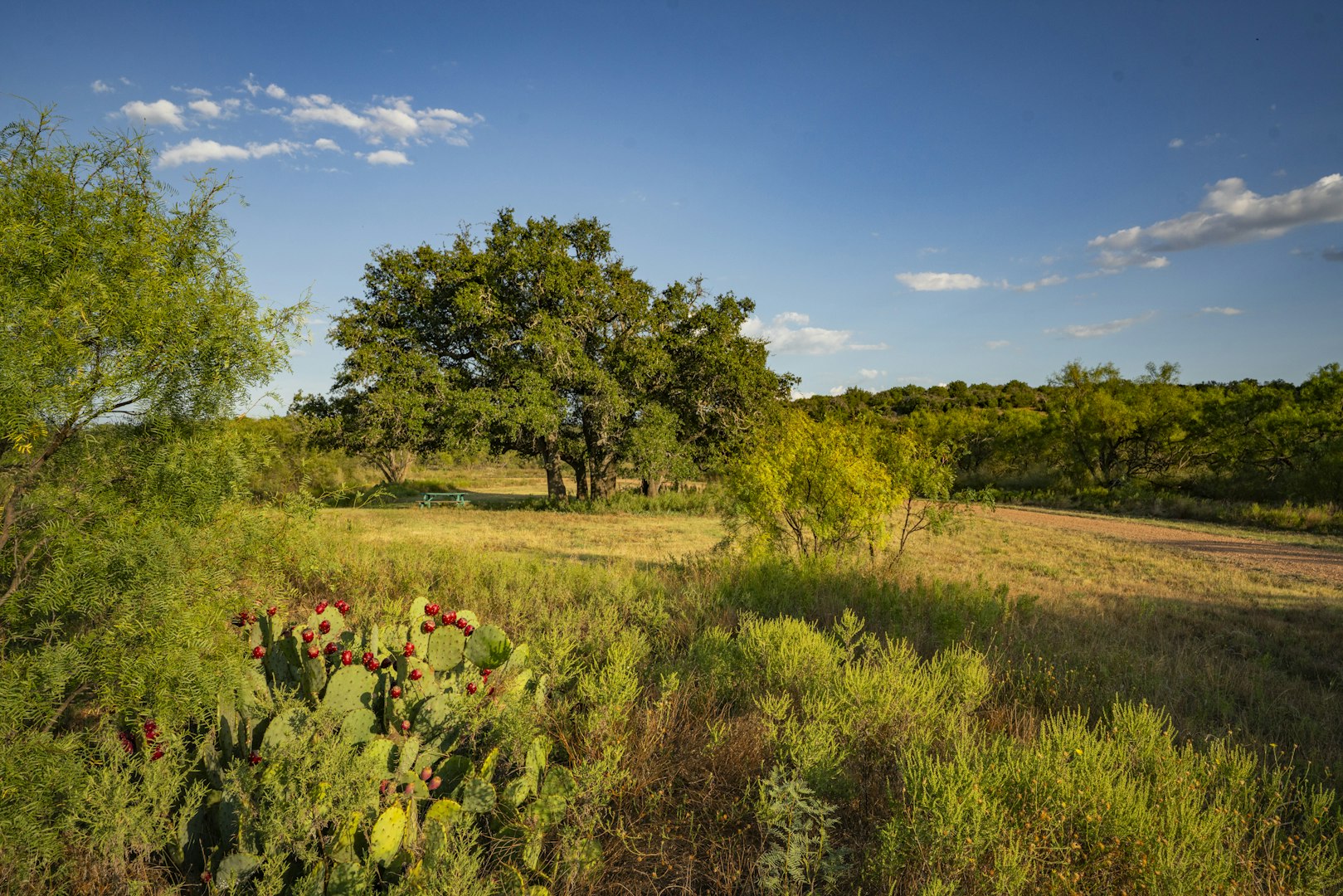 7487 North Us Highway 87 Mason TX 76856