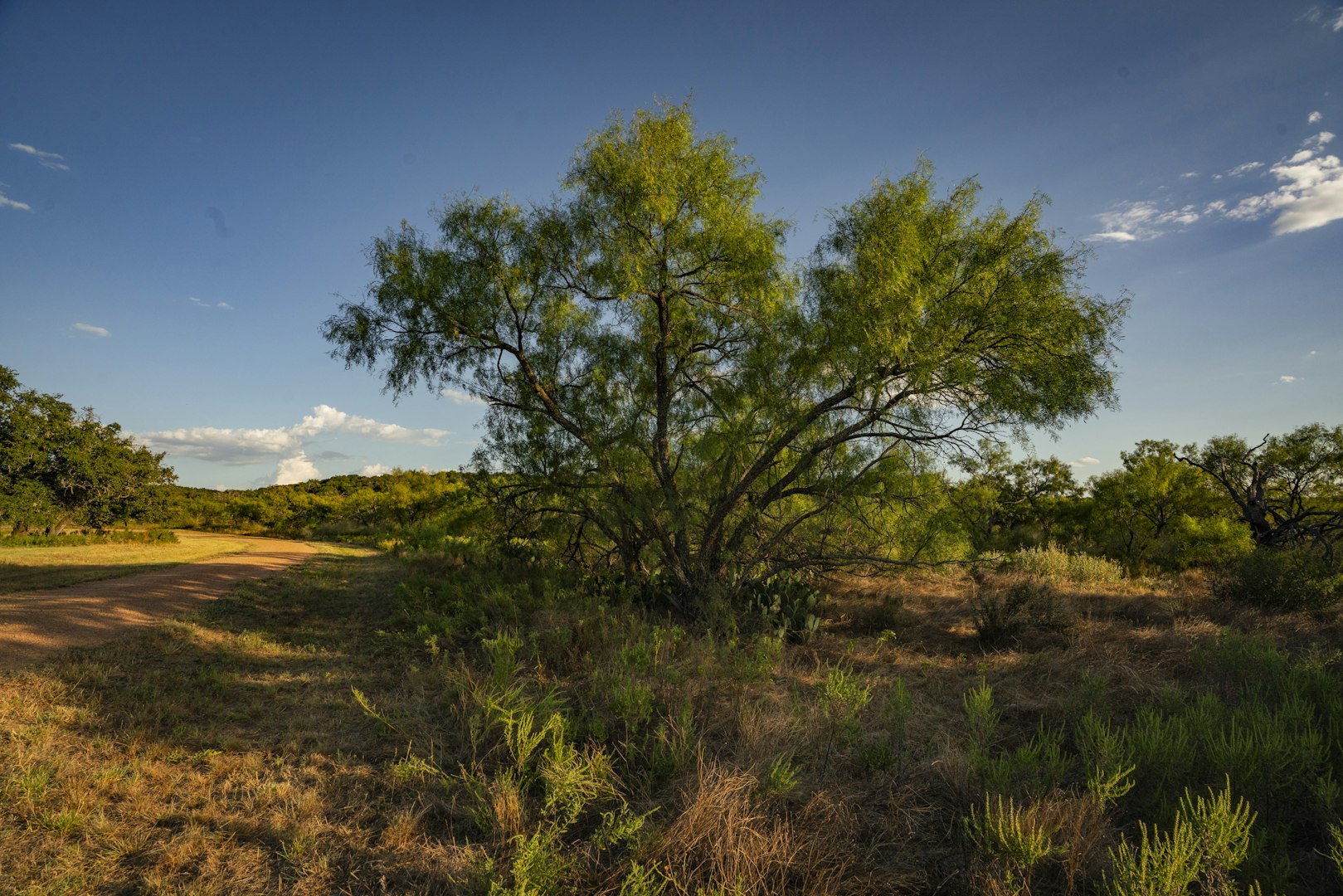 7487 North Us Highway 87 Mason TX 76856