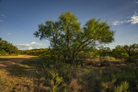 7487 North Us Highway 87 Mason TX 76856