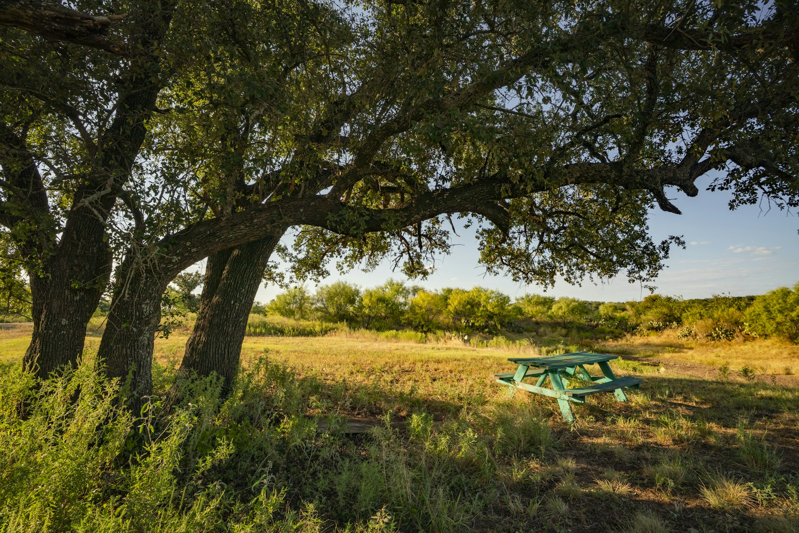 7487 North Us Highway 87 Mason TX 76856