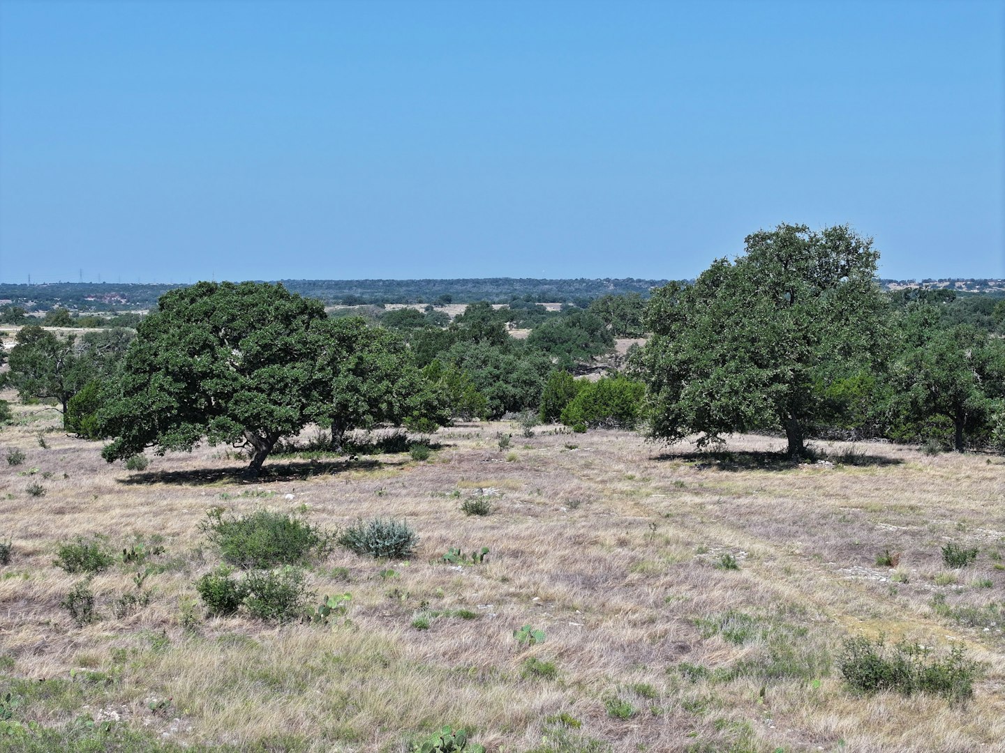 102 Avila Ridge Drive Kerrville TX 78028