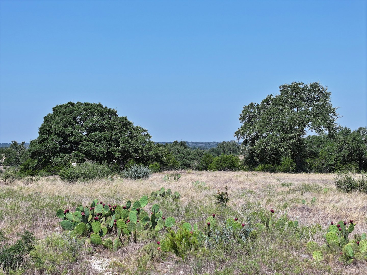 102 Avila Ridge Drive Kerrville TX 78028