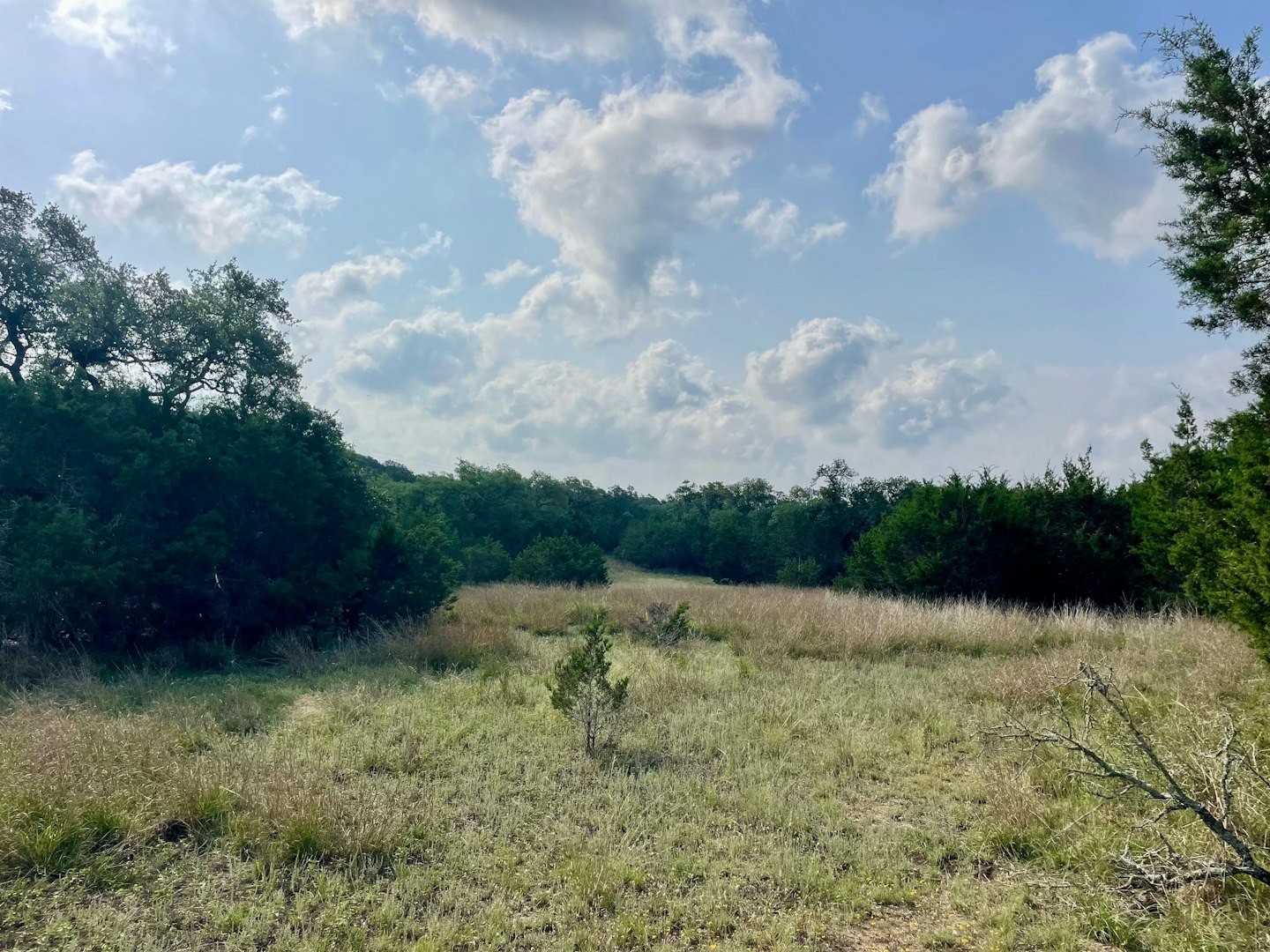 0 Ahern Creek Drive Spring Branch TX 78070