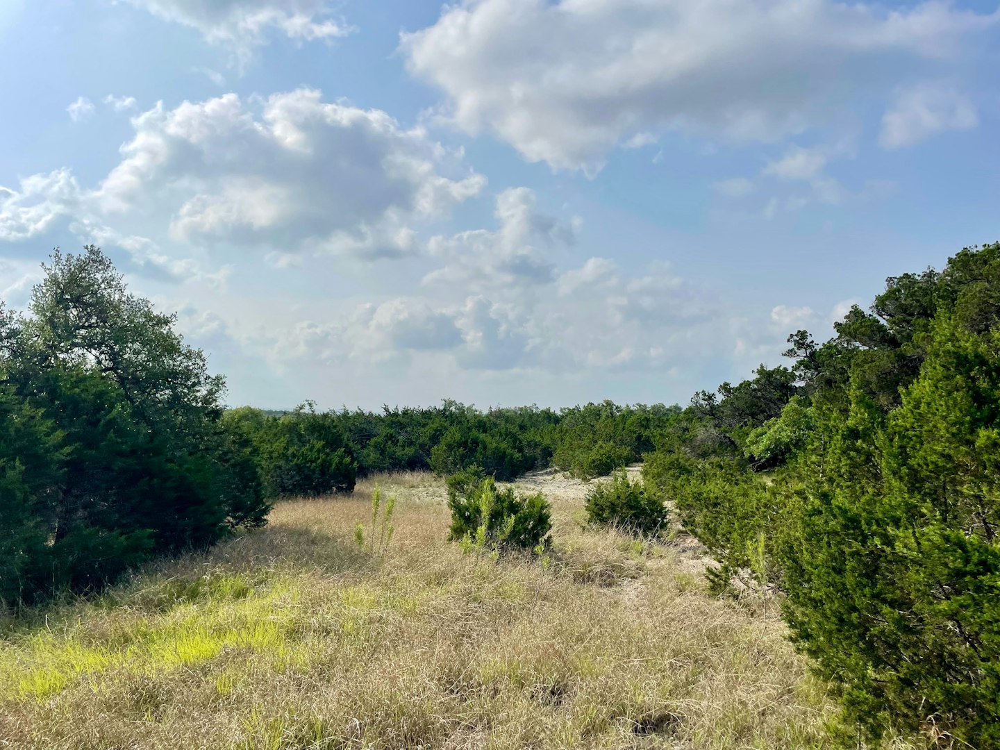 0 Ahern Creek Drive Spring Branch TX 78070