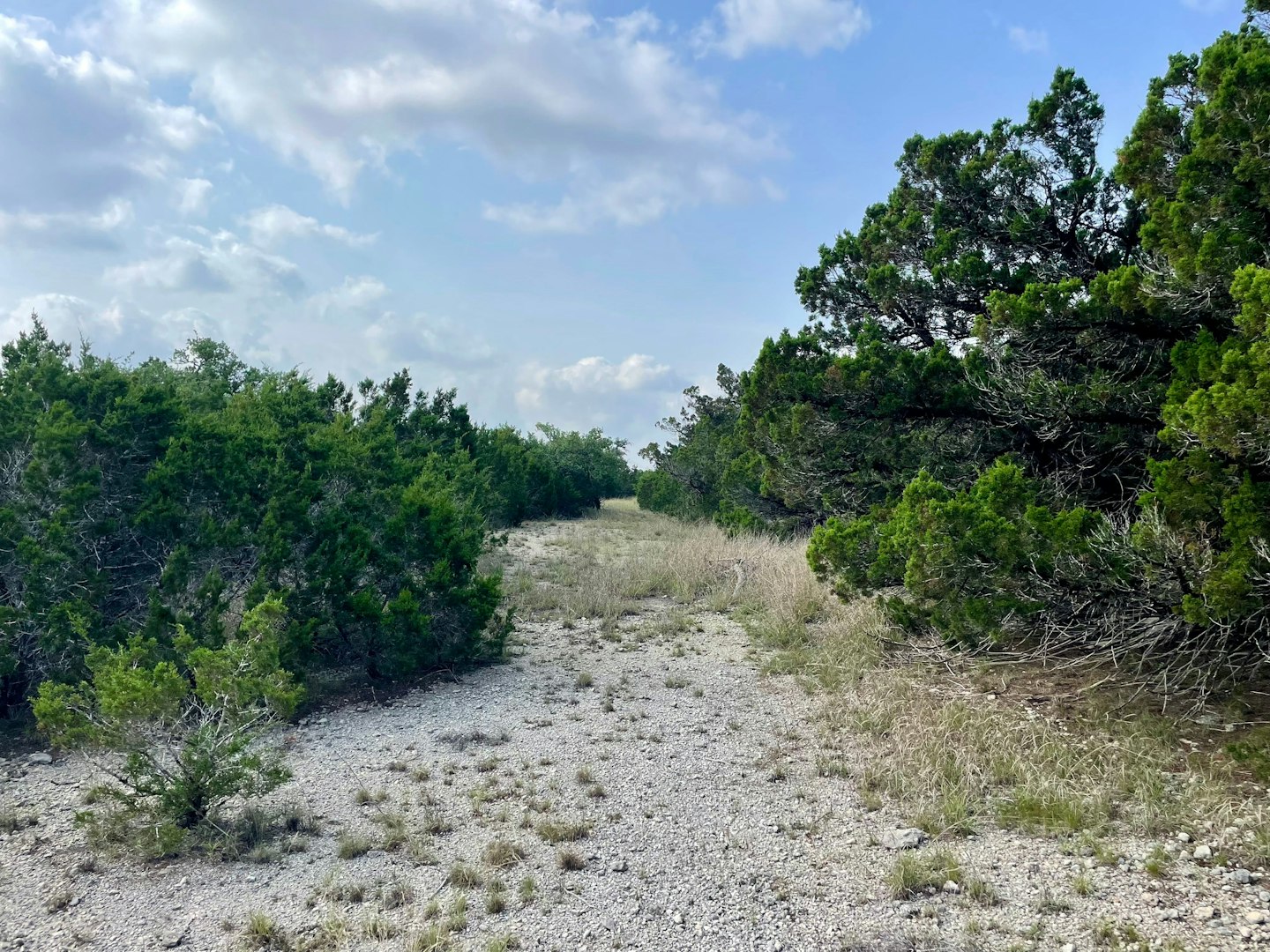 0 Ahern Creek Drive Spring Branch TX 78070