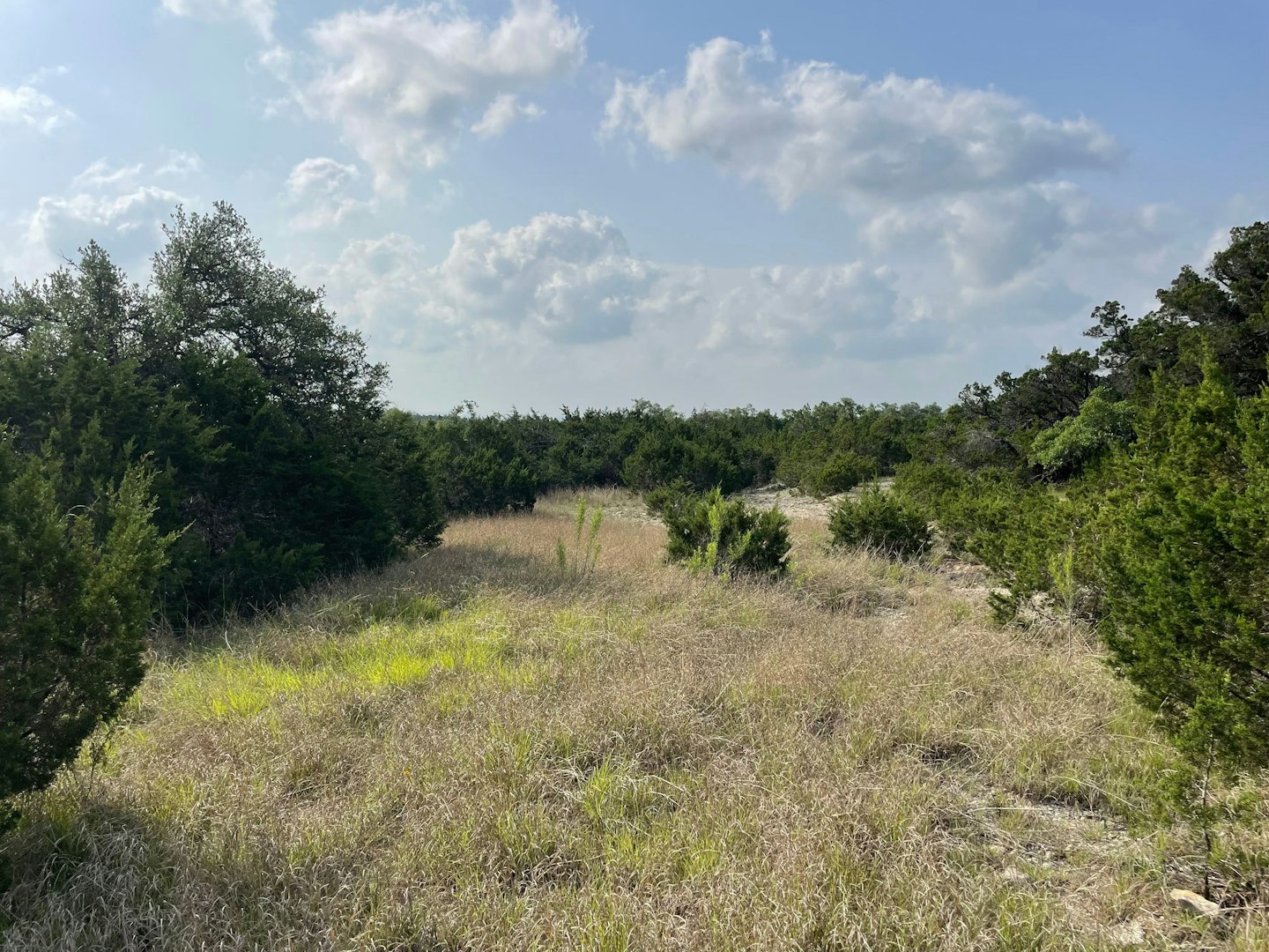 0 Ahern Creek Drive Spring Branch TX 78070