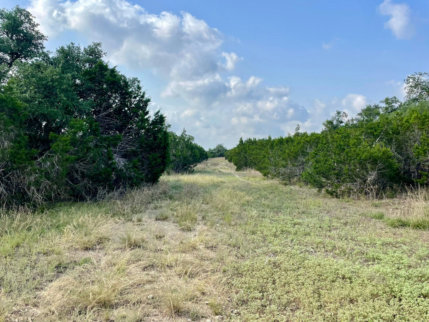 0 Ahern Creek Drive Spring Branch TX 78070